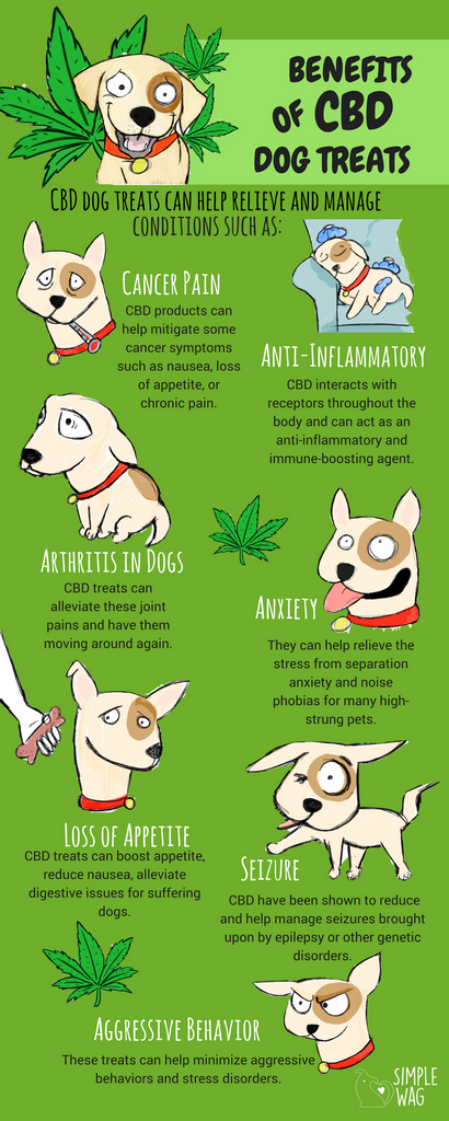CBD for dogs.... 10 things you didn’t know!