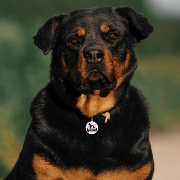 O'K9 Personalized  Laser Metal Alloy Dog ID Tag